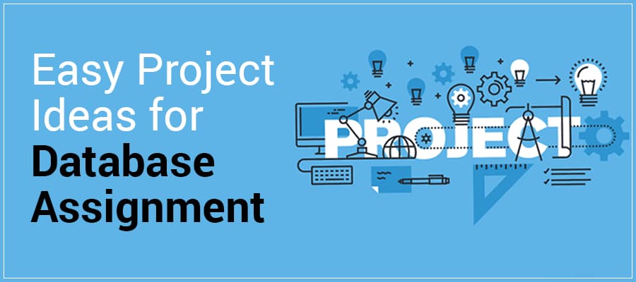 Database Assignment Help, Expert Writers